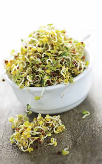 Green Valley Food Corp. BROCCOLI SALAD SPROUTS